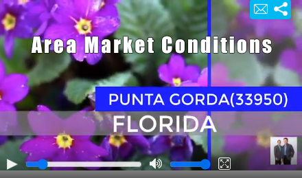 Area Market Reports